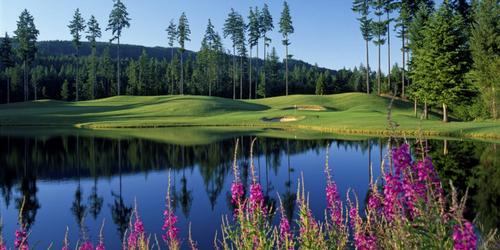 Gold Mountain Golf Course - The Olympic Golf Package